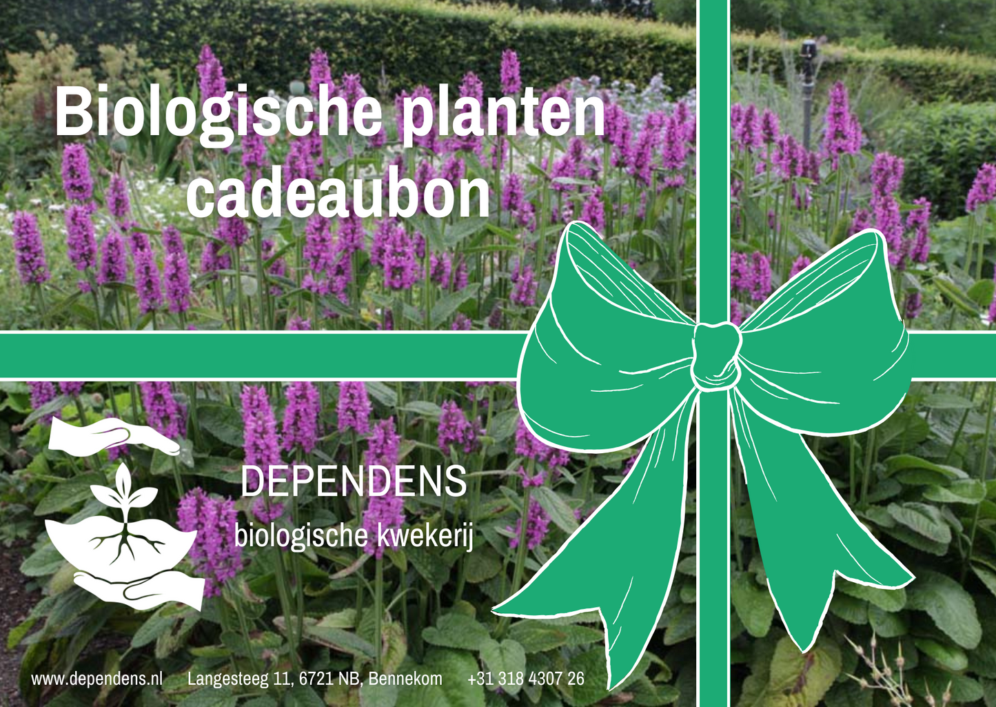 Biologische planten cadeaubon