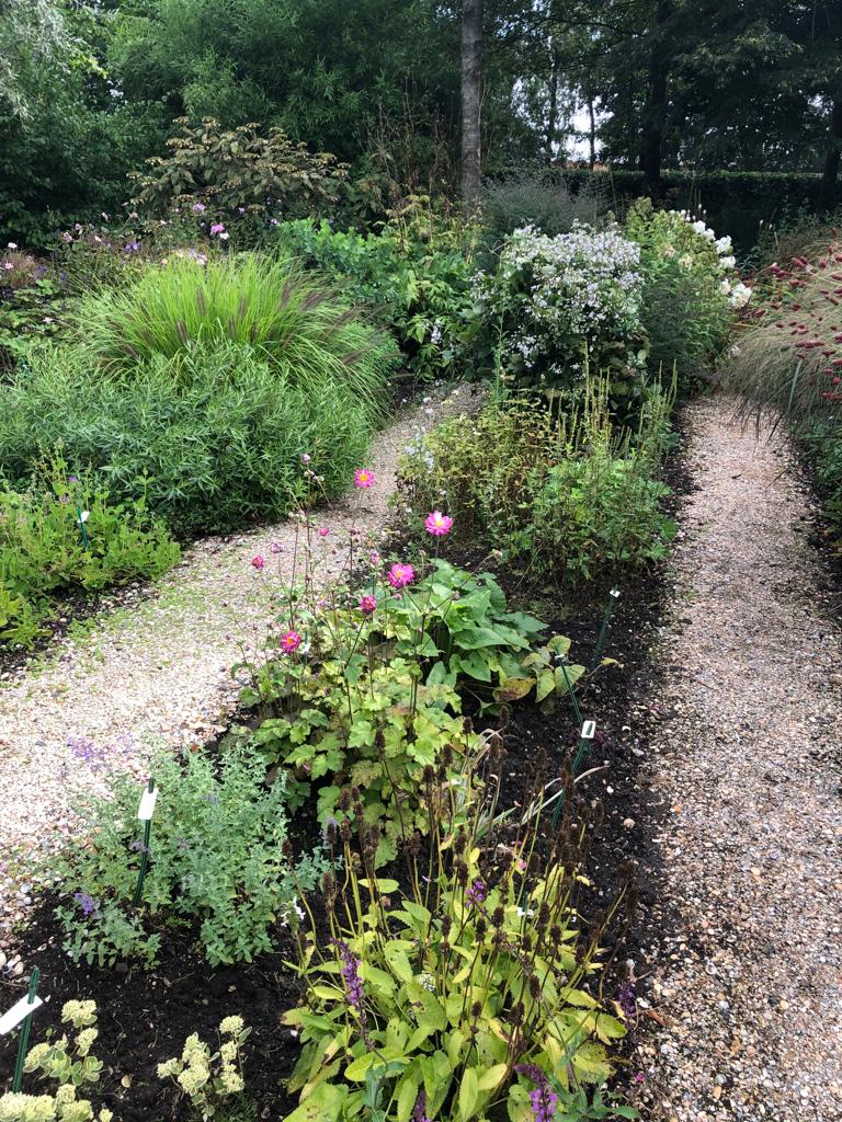 ontwerp borderpakket biologische tuin planten ontwerp